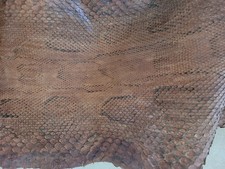 Très Jolie Peau Serpent