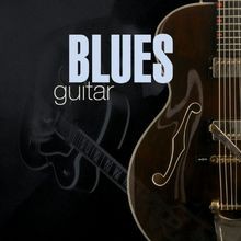 Blues Guitar de Various Artists | CD | état très bon