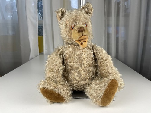 Ancien ours peluche steiff - ancien, en