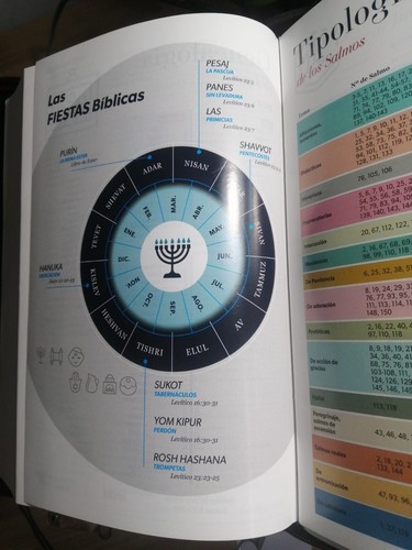 Bible rvr60 grande lettre - rvr60,