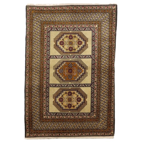 Tapis shirvan laine noeud fin - shirvan,