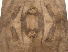 Placage En Racine De Noyer