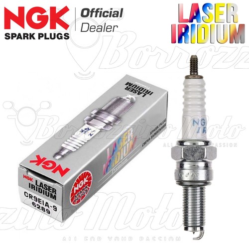Bougie ngk laser - bougie, iridium