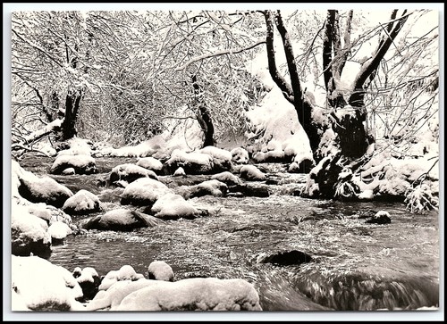 Carte postale photo vintage