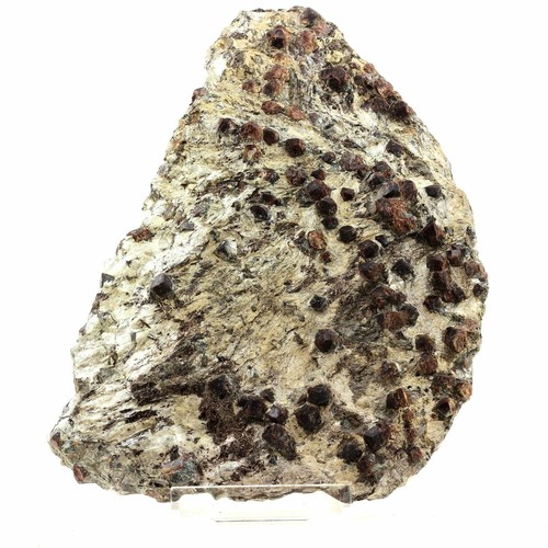 Grenat almandin micaschiste - almandin, +