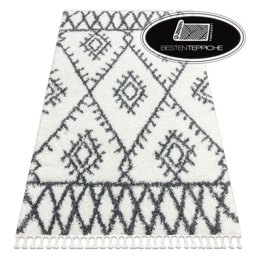 Moderne poils longs shaggy - moderne,