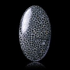 ★☆ CORAIL FOSSILE 20,70 CT