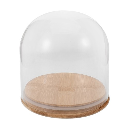 Cloche verre pour les - cloche, en