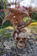 PW88303B  FIGURINE DRAGON ET CRANE TETE DE MORT HEROIC FANTASY  GOTHIQUE DERNIER