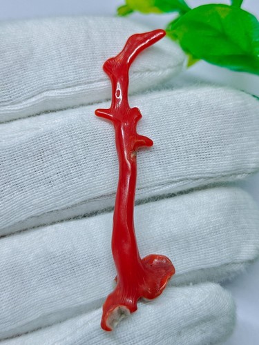 Bâton corail rouge - bâton, italien