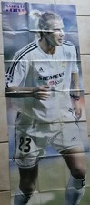 Poster David Beckham Grandeur Nature