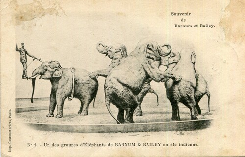 Cirque souvenir des groupes - un,