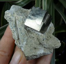 Beau Cube Pyrite sur Matrice