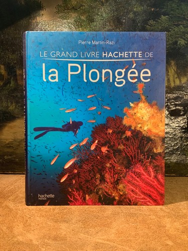Livre grand hachette - livre,,