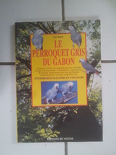 Guy barat perroquet gris - barat, le