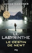Le Labyrinthe : Le destin de