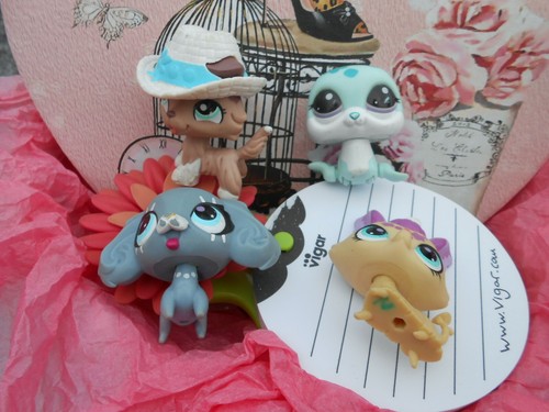 Lot petshop asbro 4 - ,