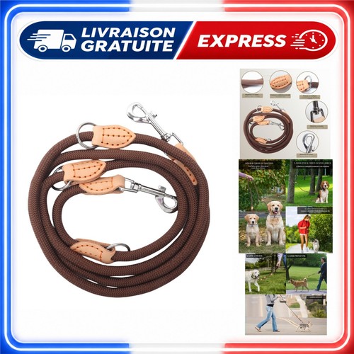 Laisse chien réglable - laisse,