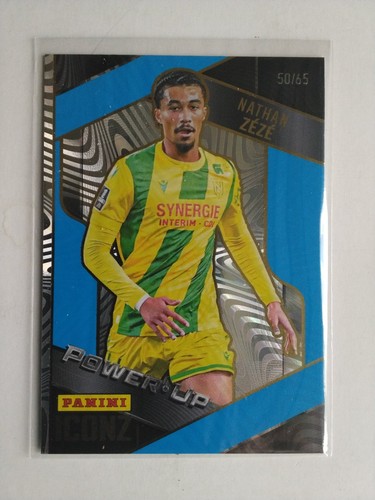 Panini football carte - panini,