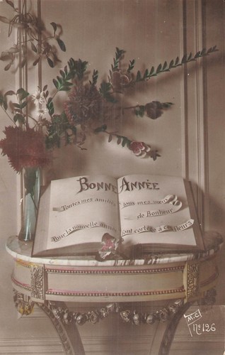 Livre ouvert bonne annee - bonne,