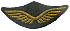 ARMEE de l'AIR Ailes de