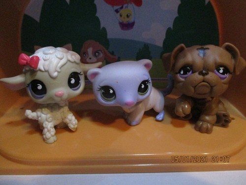 Petshop trio mouton 879 - #879, +
