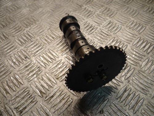 Arbre came quad polaris - a,
