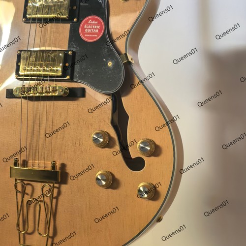 Hollow body byrdland electric - body,