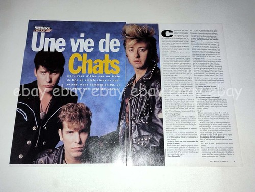 Stray cats rem - cats,