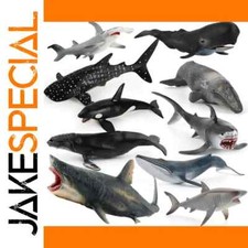 JakeSpecial – Shark Whale Educational Model for Display