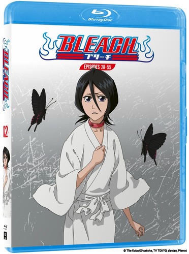 Bleach partie episodes 28 - bleach,