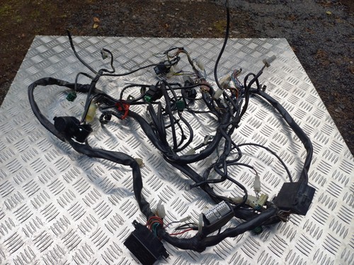 Faisceau électrique complet