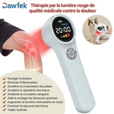 Appareil de thérapie laser froid 810/980nm douleur soulager laser articulations