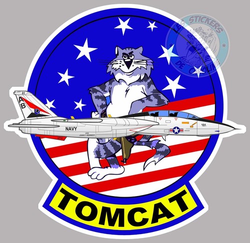 Grumman tomcat f14 - grumman,
