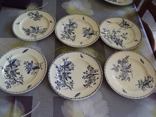 6 assiettes plates terre de fer