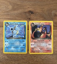 dracaufeu et tortank obscur