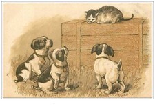 CHATS.n°1430.CHIOTS OBSERVANTS UN CHAT PERCHE SUR UNE CAISSE