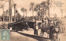 Tunisie - Femme indigène fabriquant des tapis - Ed. Lehnert & Landrock 358
