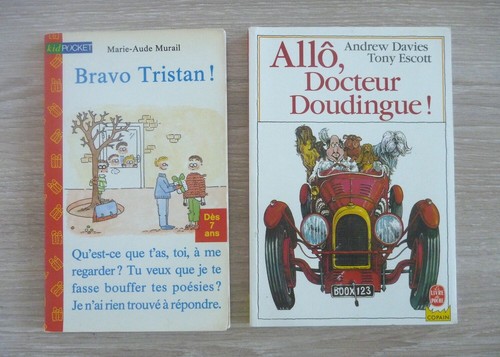 Lot livres histoire pour - 2,