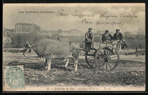 Carte postale pau environs - carte,