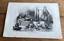 gravure ancienne chien N27 les