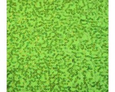 De Luxe Sequin Danse Wear