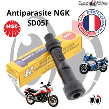 Antiparasite/Capuchon bougie