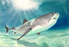 24x36 Magnificent Shark
