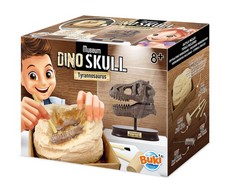 Buki  2130  Museum dino skull