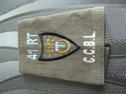 Original militaire insigne - original,