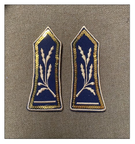 Insigne afrique gendarmerie - afrique,