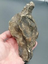 Lower Paleolithic Northern France Large Acheulean Scraper Knife Heidelbergensis