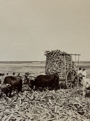 Photographie ancienne vers - ancienne,