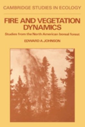 Dynamique feu de - feu, et